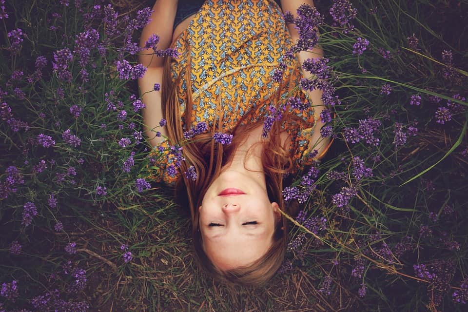Lavender essential oil benefits and uses