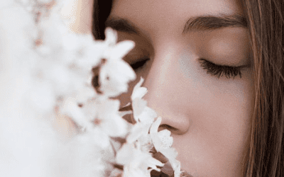 Sensory Marketing Best Examples