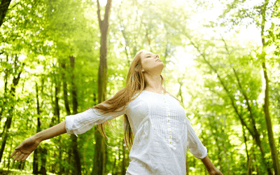 Have a Whiff: Searches reveals Scent Marketing Benefits Boosts Revenue.