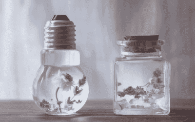 Smell Marketing