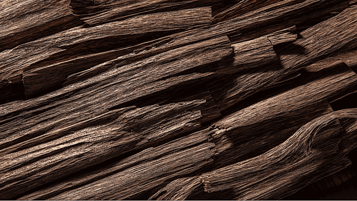 agarwood the expensive fragrance