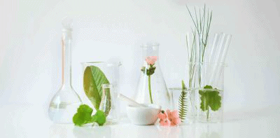 Scent