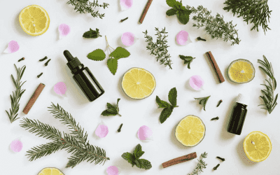 Spa Scenting Revive the Senses