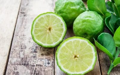 What is Bergamot Fragrance Oil Important?