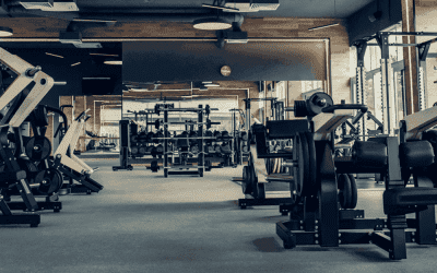 What are the Best Air Freshener for GYM?