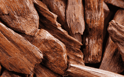 What’s Sandalwood Spiritual Benefits?